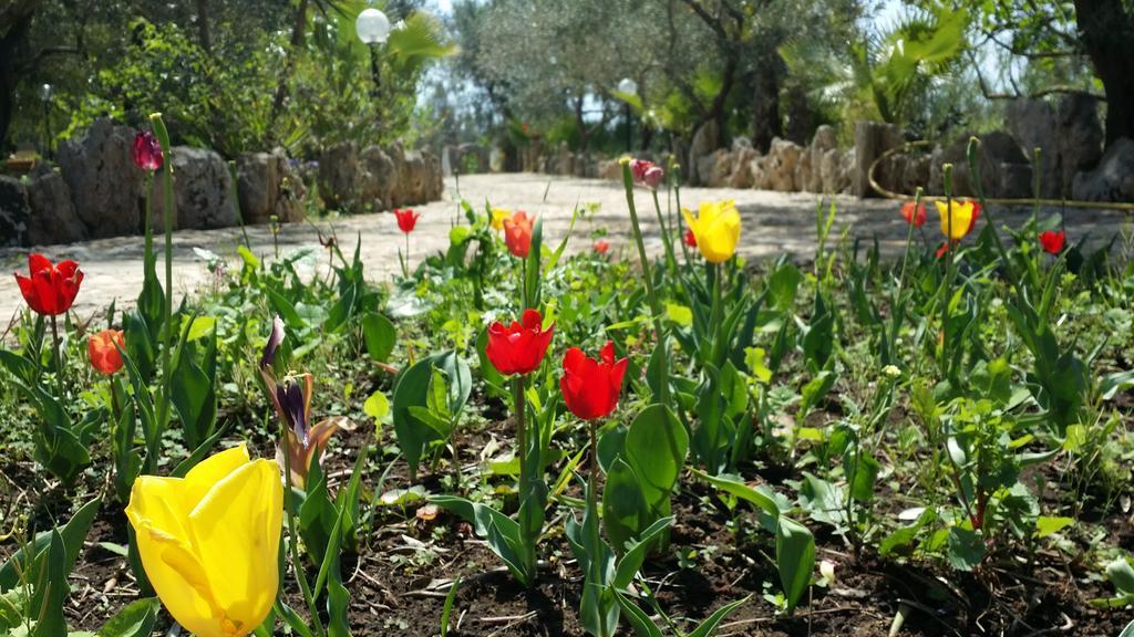 הוילה גאליפולי Agriturismo Tenuta La Siesta מראה חיצוני תמונה