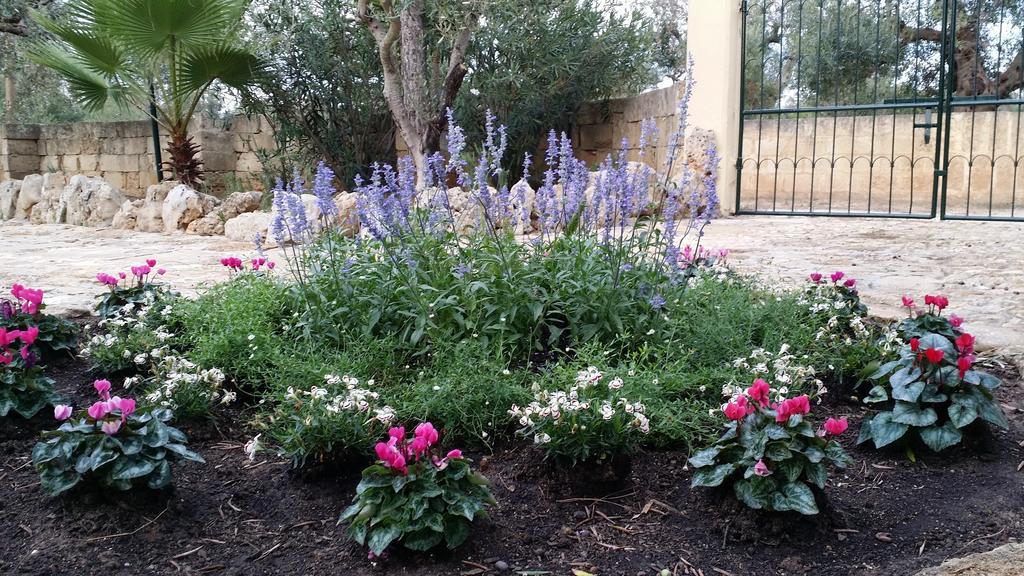 הוילה גאליפולי Agriturismo Tenuta La Siesta מראה חיצוני תמונה