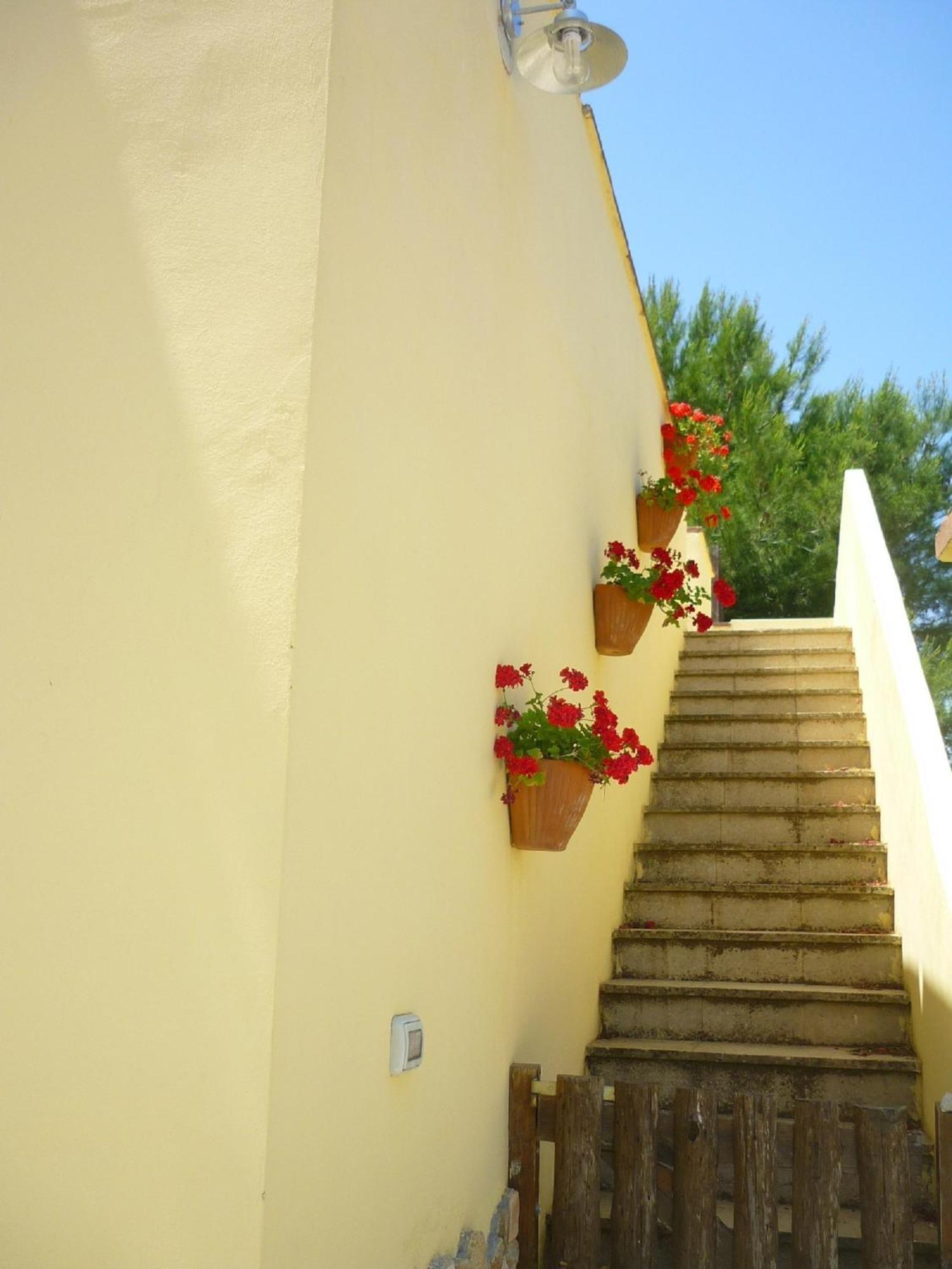 הוילה גאליפולי Agriturismo Tenuta La Siesta מראה חיצוני תמונה