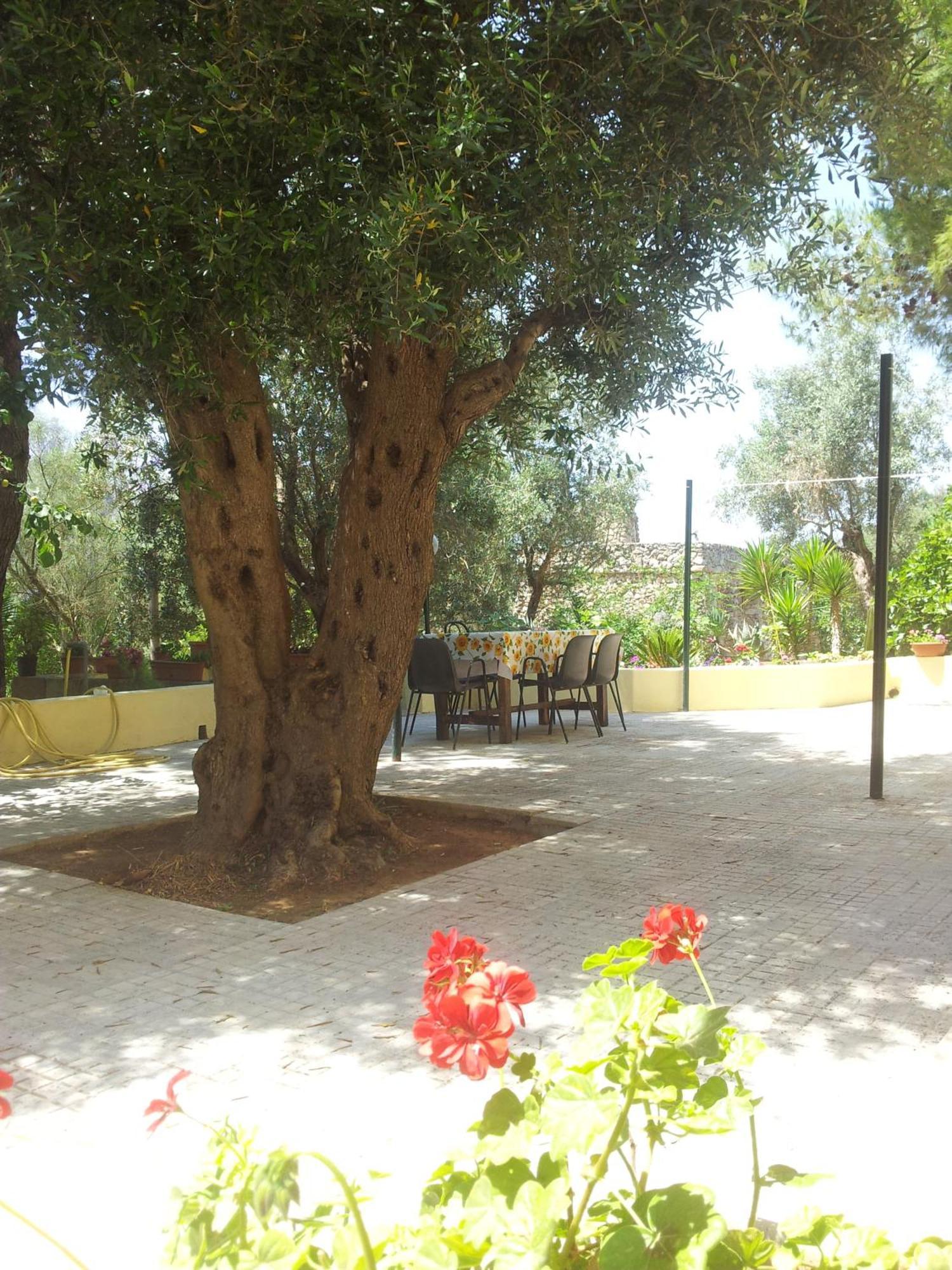 גאליפולי Agriturismo Tenuta La Siesta מראה חיצוני תמונה