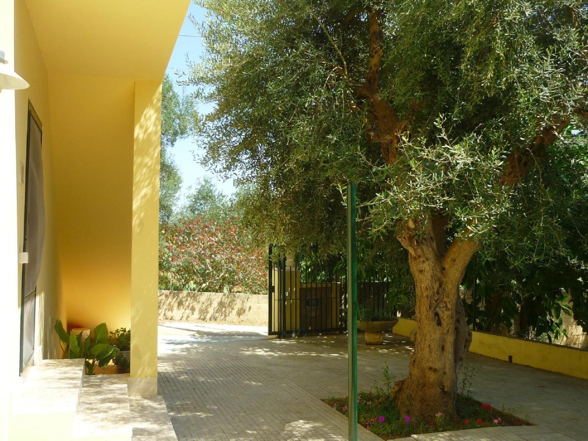 הוילה גאליפולי Agriturismo Tenuta La Siesta מראה חיצוני תמונה