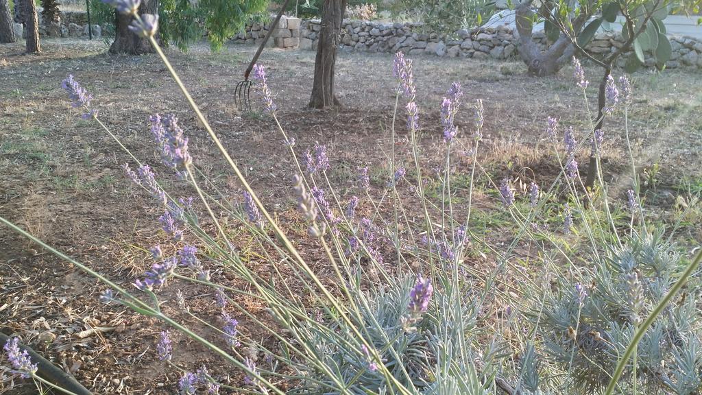 הוילה גאליפולי Agriturismo Tenuta La Siesta מראה חיצוני תמונה