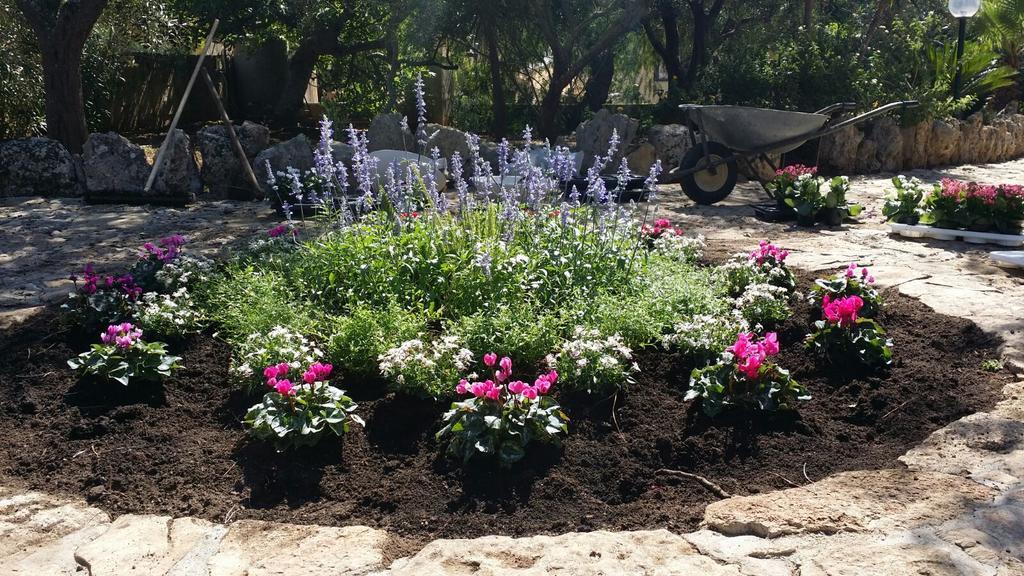 גאליפולי Agriturismo Tenuta La Siesta מראה חיצוני תמונה
