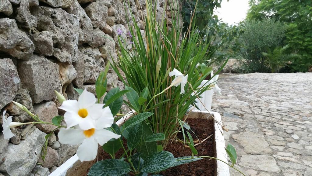 הוילה גאליפולי Agriturismo Tenuta La Siesta מראה חיצוני תמונה