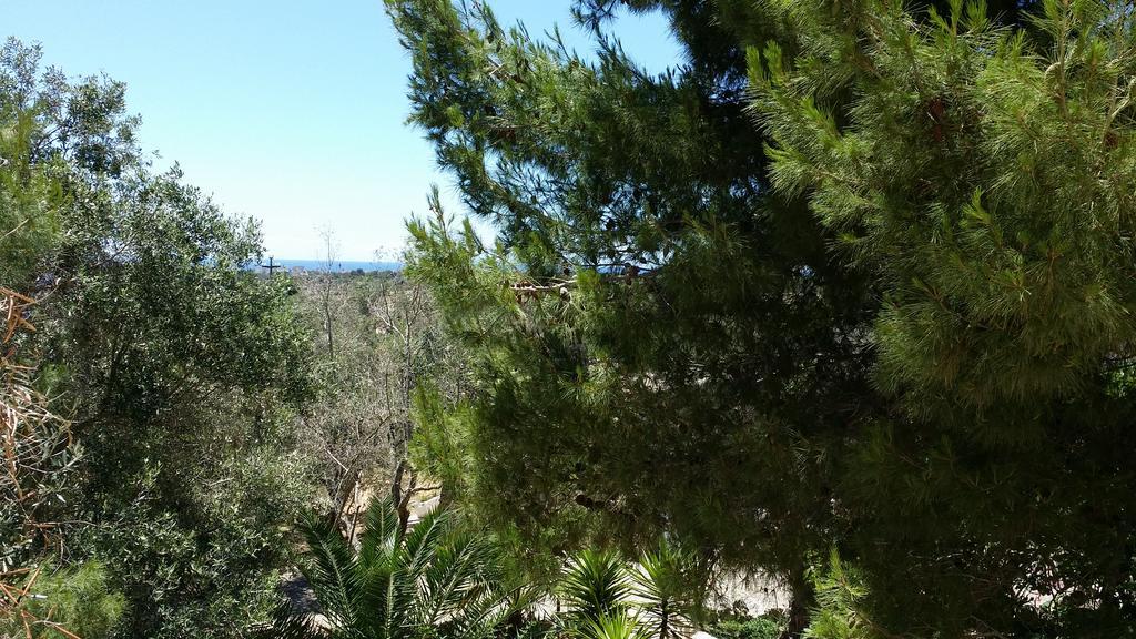 גאליפולי Agriturismo Tenuta La Siesta מראה חיצוני תמונה