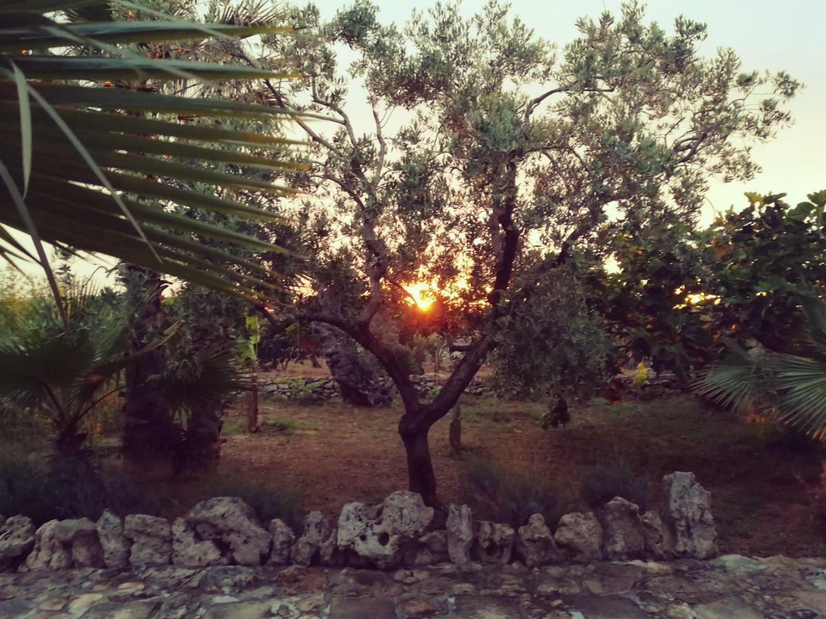 הוילה גאליפולי Agriturismo Tenuta La Siesta מראה חיצוני תמונה