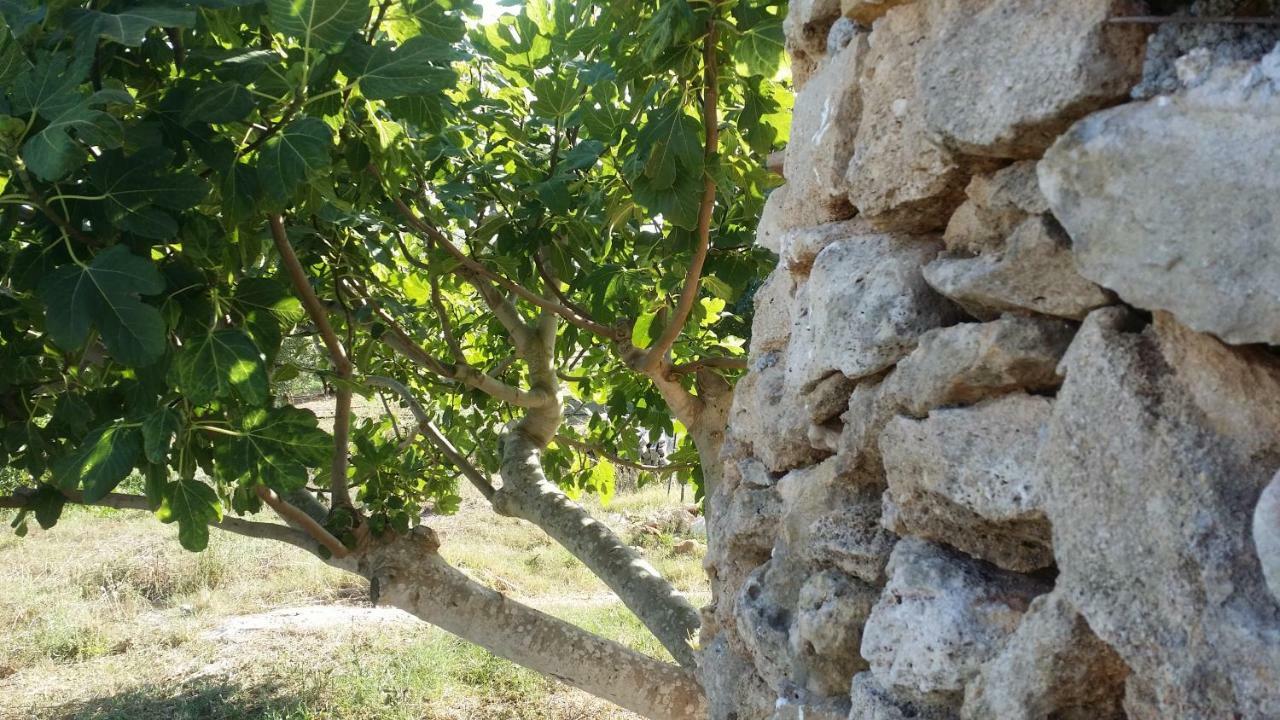 גאליפולי Agriturismo Tenuta La Siesta מראה חיצוני תמונה