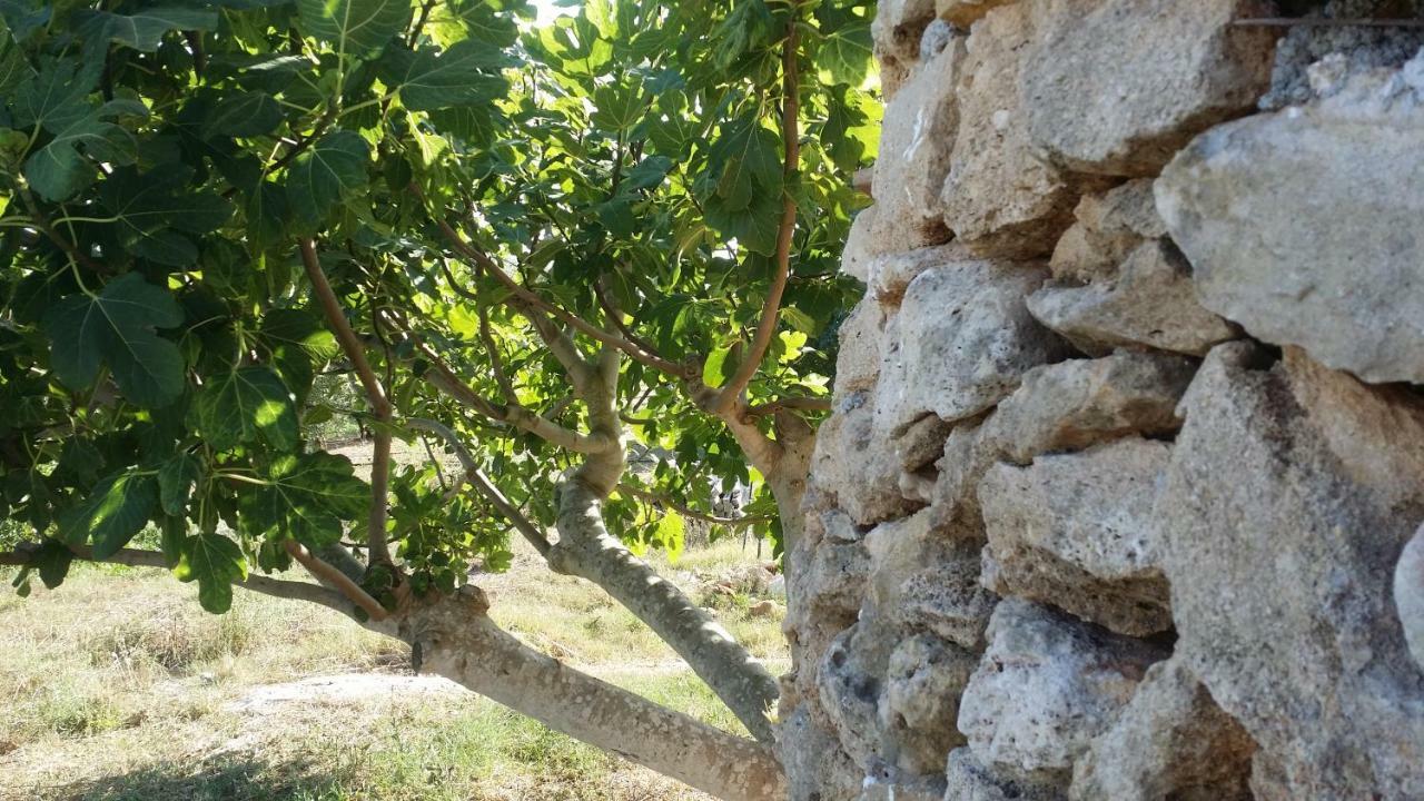 הוילה גאליפולי Agriturismo Tenuta La Siesta מראה חיצוני תמונה