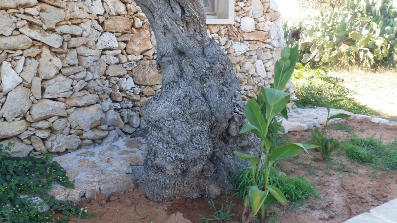 הוילה גאליפולי Agriturismo Tenuta La Siesta מראה חיצוני תמונה