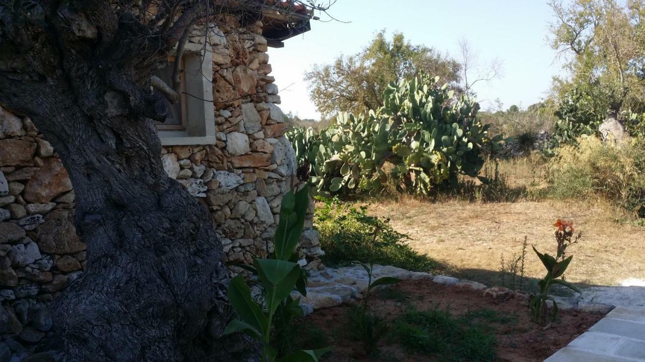 הוילה גאליפולי Agriturismo Tenuta La Siesta מראה חיצוני תמונה